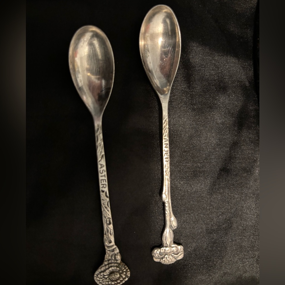 Elegant Silver Spoons Set